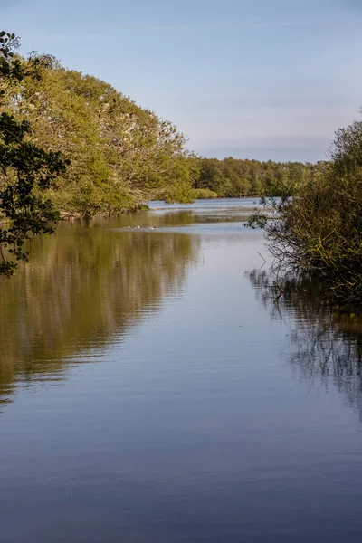Yalnız orman gölü, bir doğa koruma alanında. Danimarka 'nın Bornholm adasına yaptığı gezide yakalandı.