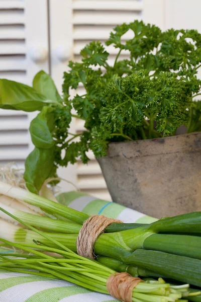 Hierbas Verdes Frescas Bodegón Perfecto Para Cocinar Cocina Proyectos Chef —  Fotos de Stock