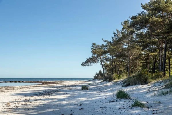 Samotna Płytka Piaszczysta Plaża Spokojną Wodą Pogodny Wiosenny Dzień Jasnym — Zdjęcie stockowe