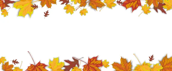 Autumn Foliage White Centre Header — Stock Vector