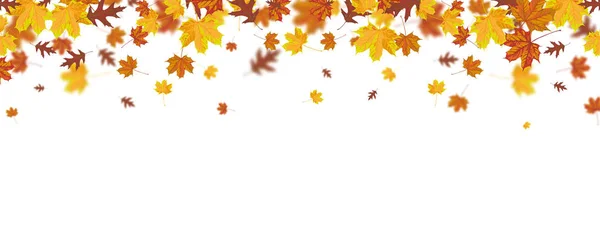 Herfstkaart met bladeren — Stockvector