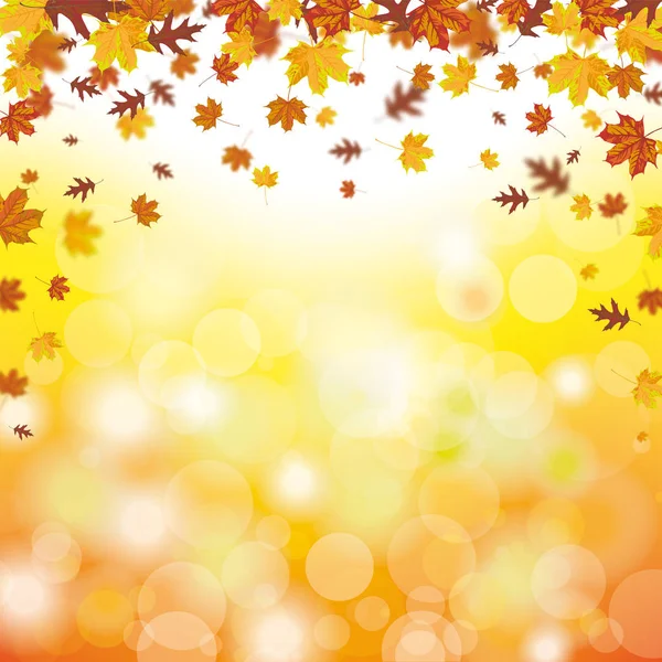 Tarjeta de otoño con hojas — Archivo Imágenes Vectoriales
