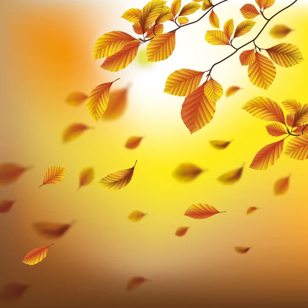 Feuilles d'automne orange — Image vectorielle