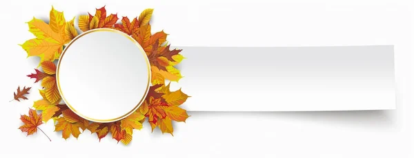 Folhagem de outono com círculo dourado — Vetor de Stock