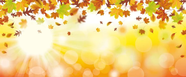 Autumn foliage with sunlights — Stock Vector