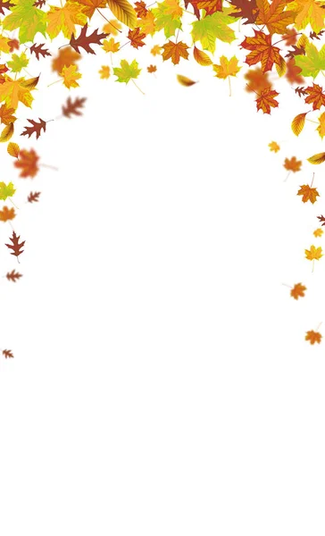 Follaje de otoño Fondo marrón — Vector de stock