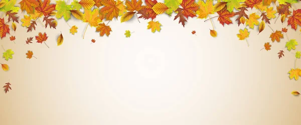 秋の紅葉背景を茶色 — ストックベクタ