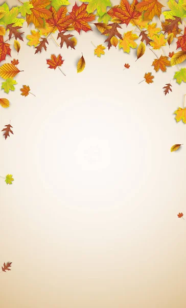 Herbst Laub braun Hintergrund — Stockvektor