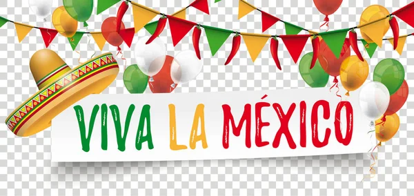Sombrero Globos Banderas Pancarta Papel Con Texto Viva México — Vector de stock