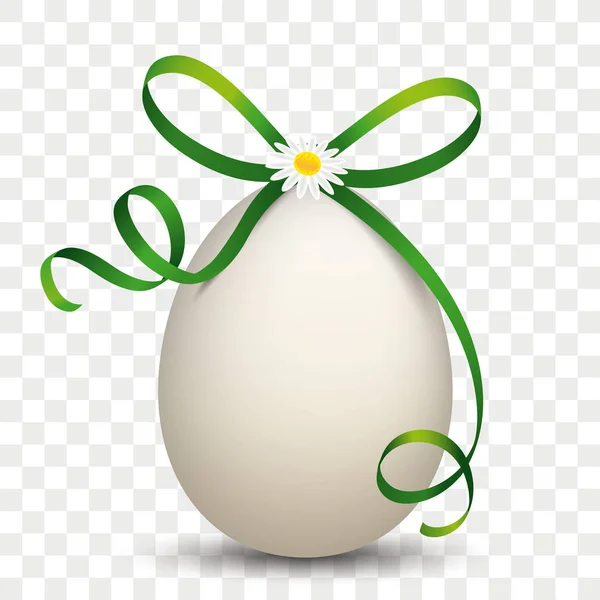 Daisy zielone wstążki naturalne jajko przezroczyste — Wektor stockowy