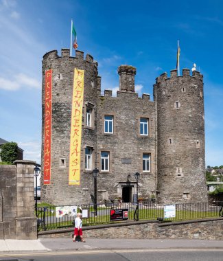 Enniscorthy Şatosu, Enniscorthy, Co Wexford, İrlanda.
