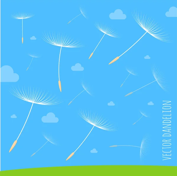 Dandelion seeds blowing away on the wind — Stock Vector