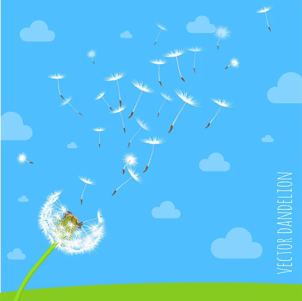 Dandelion seeds blowing away on the wind — Stock Vector