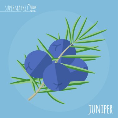 Ardıç düz tasarım vektör simgesi.