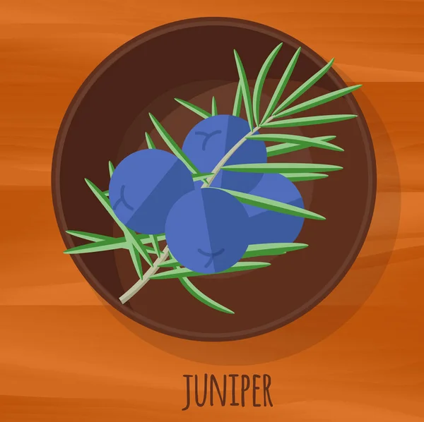 Juniper flat design vector icon. — Stock Vector