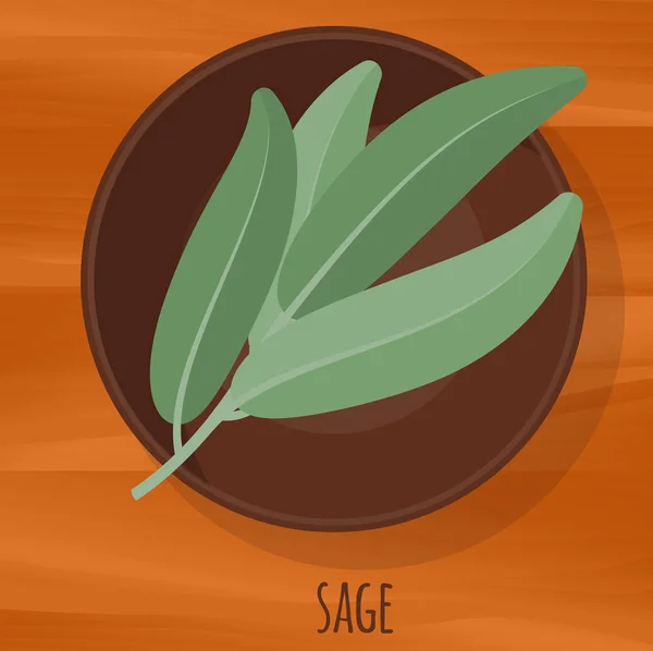 Sage diseño plano icono vectorial . — Archivo Imágenes Vectoriales