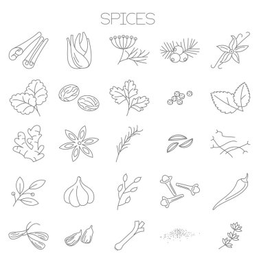 İnce çizgi baharat vektör Icon set.