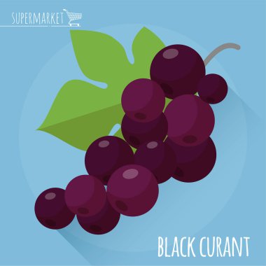 Siyah frenk üzümü vektör simgesi