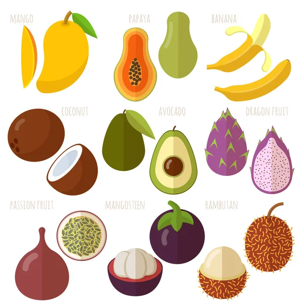 Vector tropical exótico frutas de diseño plano — Vector de stock