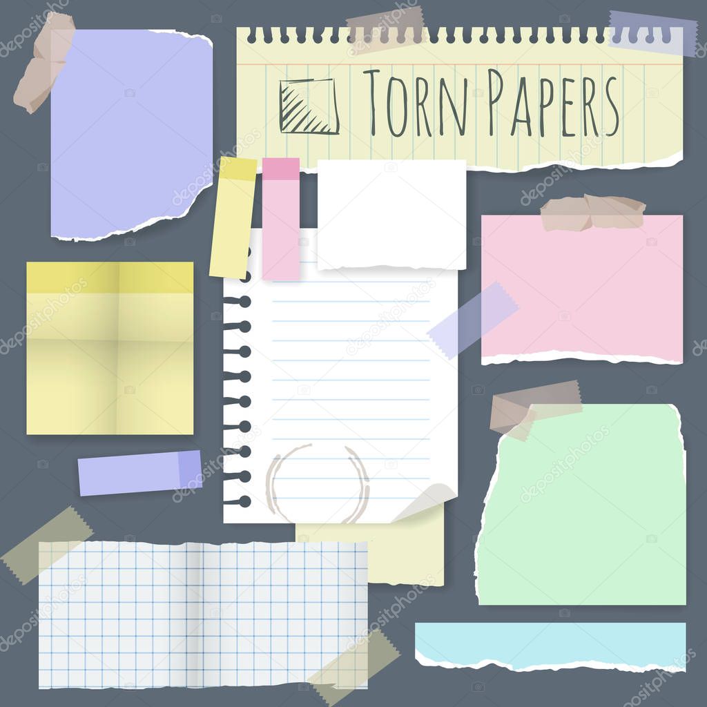 Torn note papers. Vector design element set.