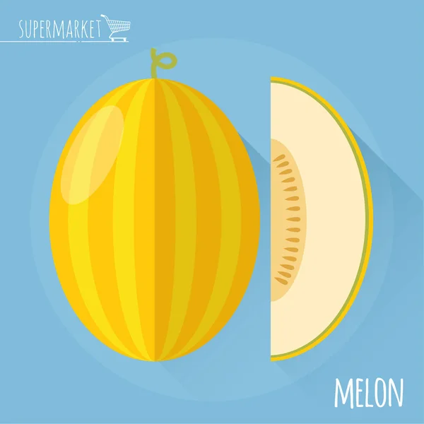 Melón de miel. Icono del vector . — Archivo Imágenes Vectoriales