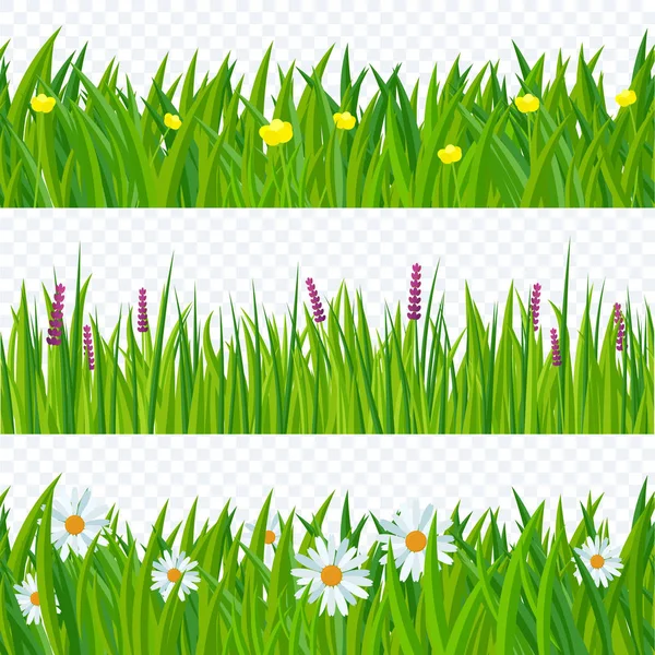 Herbe et fleurs printanières . — Image vectorielle