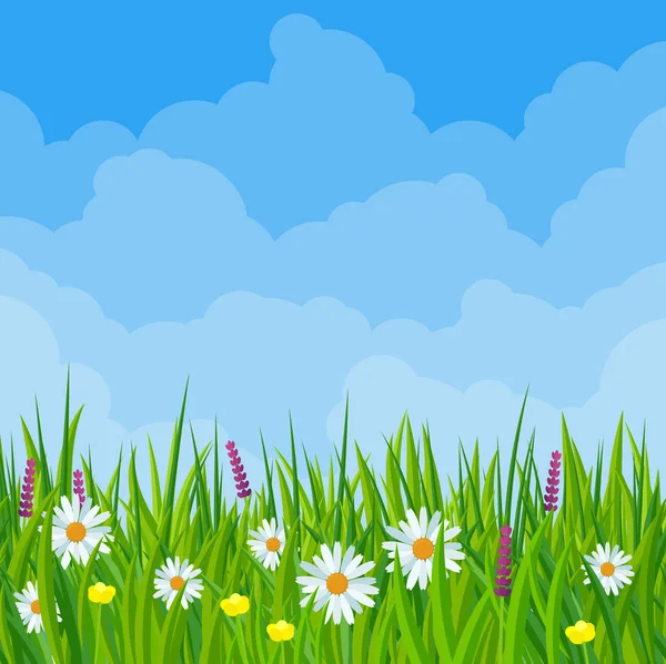 Bahar çayırı bulutlu manzarası — Stok Vektör