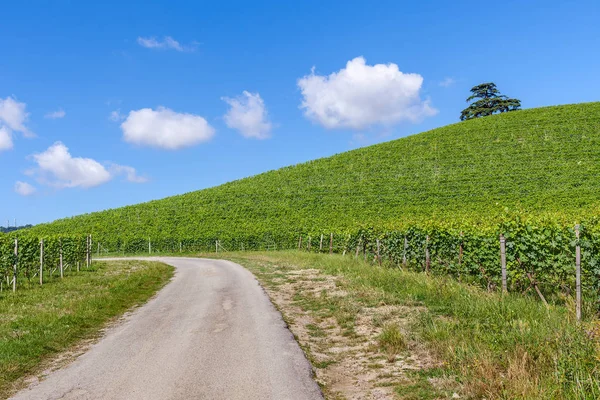 Landelijke weg en wijngaarden in Italië. — Stockfoto