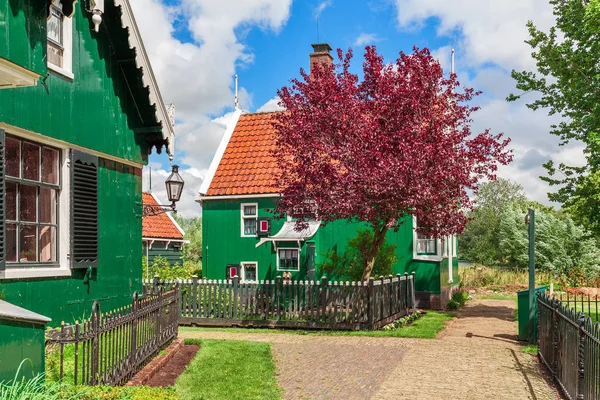 Small dutch village. — Stock Photo, Image