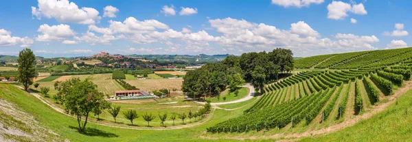 Зелених полів і виноградників Італії. — стокове фото