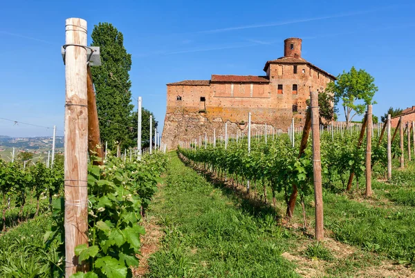 Antiguo castillo y viñedos verdes en Italia . —  Fotos de Stock