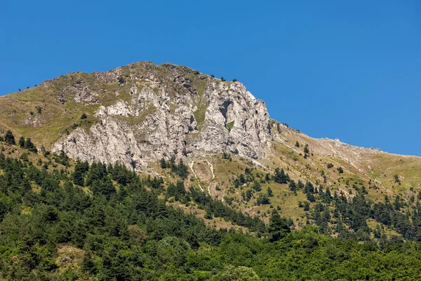 Groene bomen op de hellingen van de berg. — Stockfoto