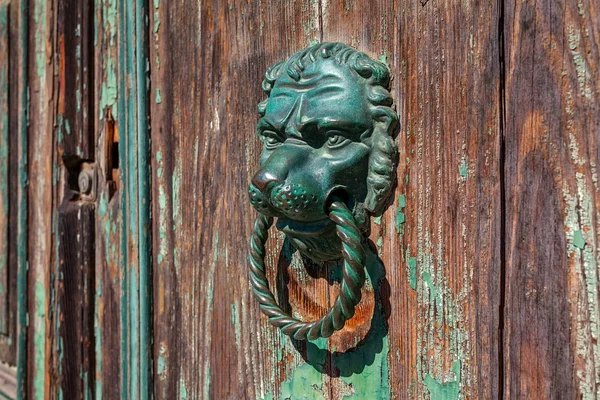 Maçaneta do leão na velha porta de madeira . — Fotografia de Stock