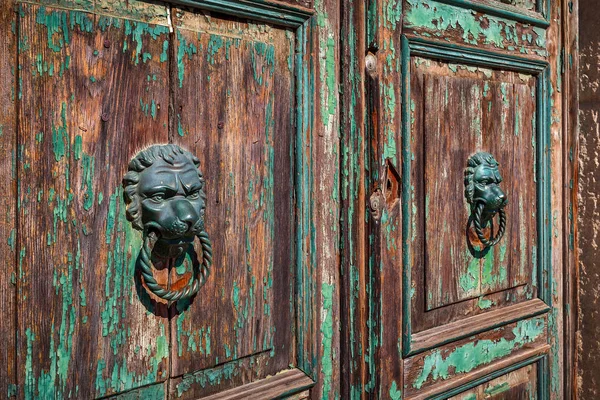 Door knobs in the shape of lion\'s head on old wooden door.