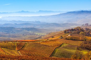 Renkli sonbahar üzüm bağları ve İtalya sisli tepeler.