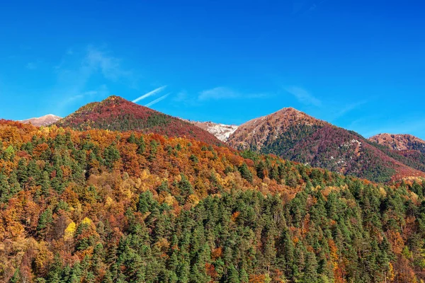 Kleurrijke herfst bergen van Zwitserland. — Stockfoto
