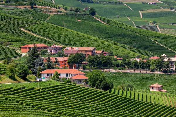 Klein dorp onder groene wijngaarden. — Stockfoto