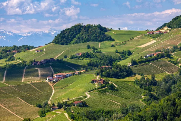 Pośród zielonych winnic na wzgórzach Piemont. — Zdjęcie stockowe