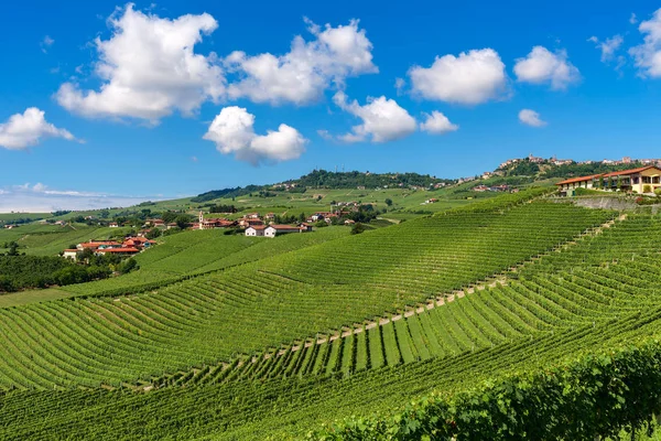 Groene wijngaarden onder blauwe hemel met witte wolken in Italië. — Stockfoto