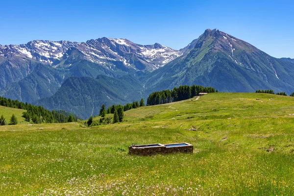 Zobrazit Zelené Alpské Louky Horské Hřebene Pozadí Létě Oblasti Piemont — Stock fotografie