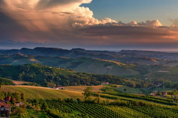 Vinhedos verdes nas colinas do Piemonte, Itália . — Fotografia de Stock