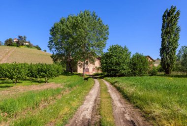 Kırsal yol ve eski çiftlik Piedmont, İtalya.