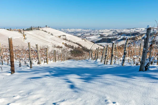 Vineyards on the hill covered in snow in Italy. — Stock Photo, Image