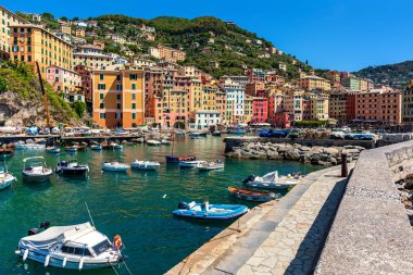 İtalya 'nın Liguria kentindeki küçük Camogli kasabasında, arka planda renkli evler olarak rıhtım boyunca demirlenen tekneler.