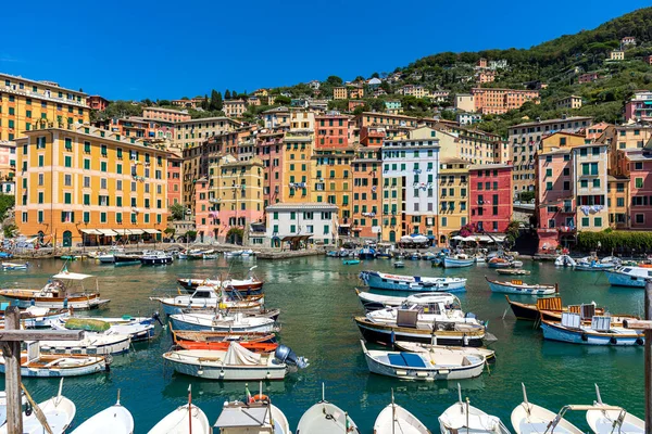 Boats Small Harbour Colorful Houses Background Small Town Camogli Italy — Stock Photo, Image