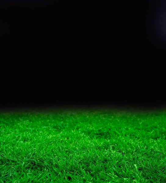 Tempalte avec nuit noire et belle herbe verte — Photo