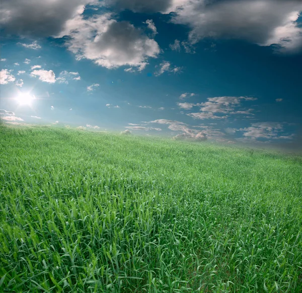 Gelbe Sonne über dem feuchten Feld und schöne und farbenfrohe Cl. — Stockfoto