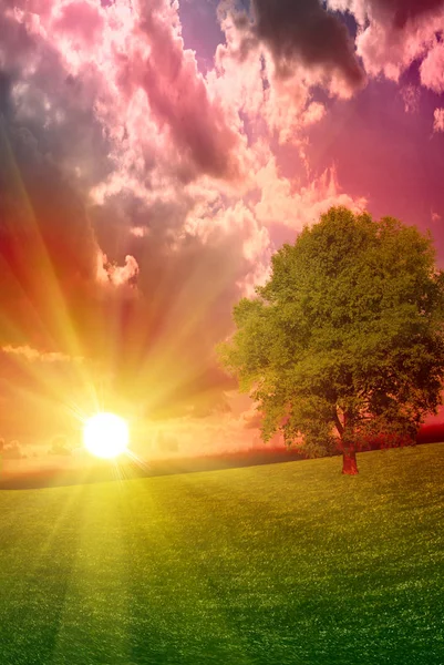 Amarelo pôr do sol sobre o campo de weat e bonito e colorido cl — Fotografia de Stock