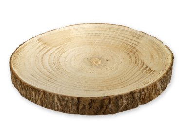 Birch kesilmiş ağaç