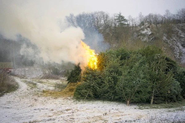 Árbol de Navidad quema — Foto de Stock